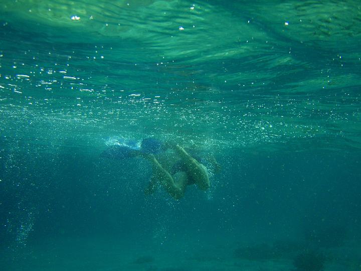 Anaconda hp 132.jpg